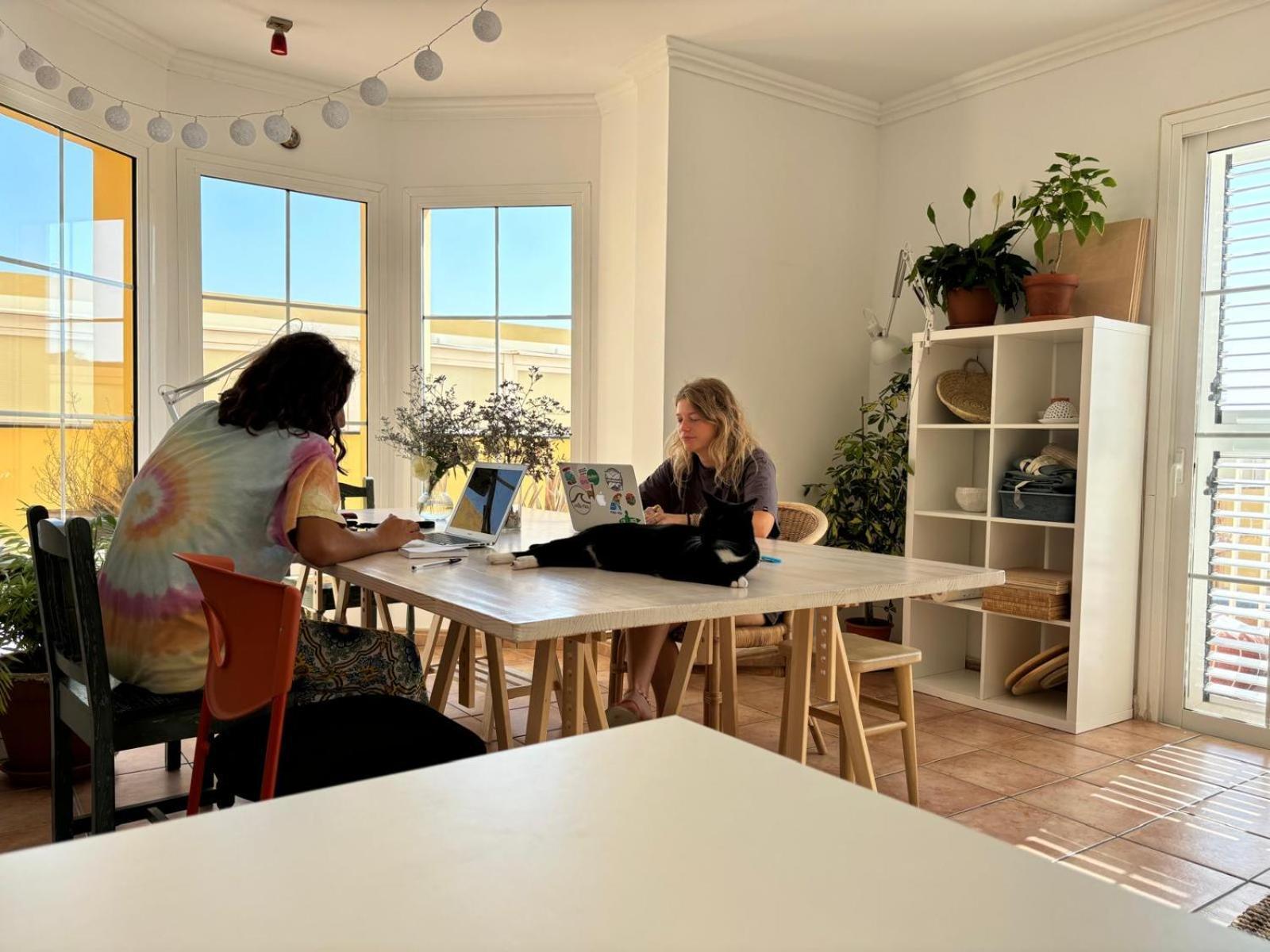 Medano Beach Coliving El Médano Zewnętrze zdjęcie